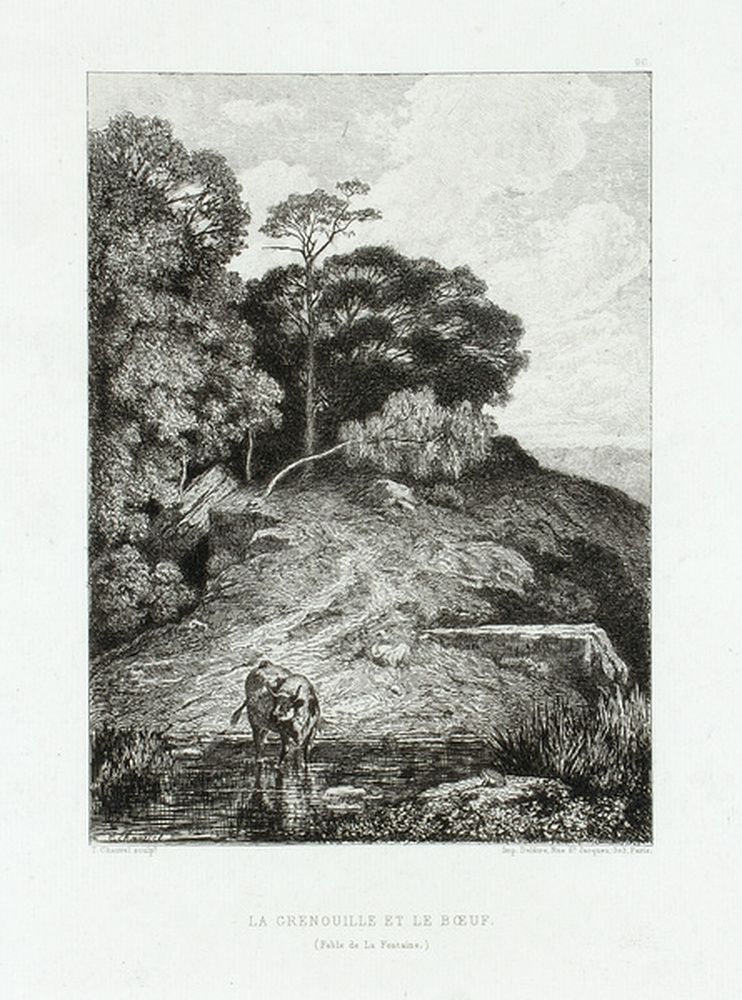 La grenouille et le boeuf, fable de La Fontaine