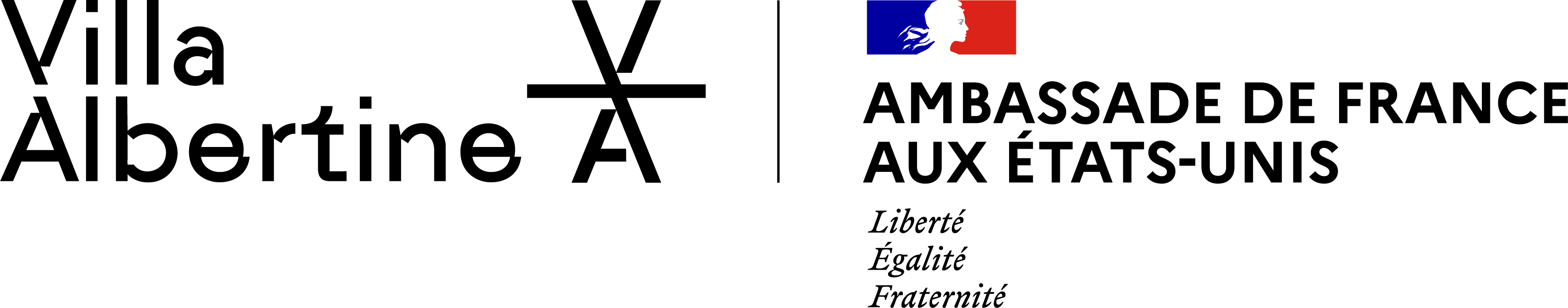 Villa Albertine - L'Institut français de la culture et de l'éducation